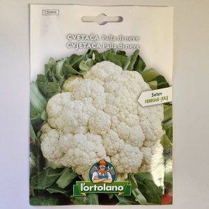 Cvetača Palla di neve