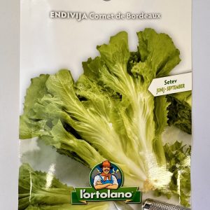 Endivija Cornet de Bordeaux