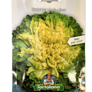 Endivija Dečja glava