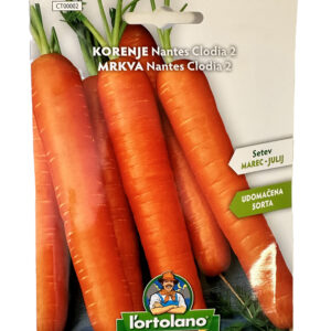 Korenje Nantes clodia 2