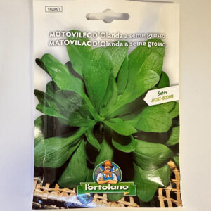 Motovilec D'Olanda a seme grosso