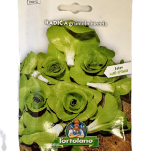 Radič A grumolo bionda