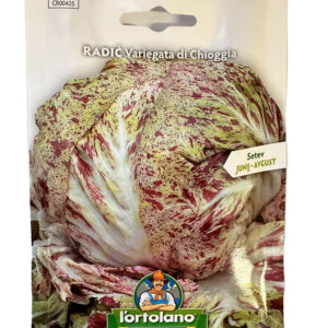 Radič Variegata di Chioggia