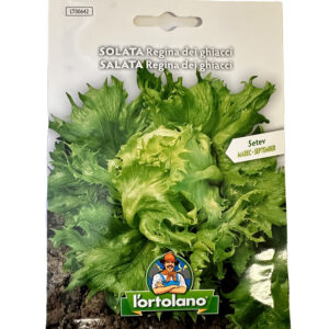 Solata Regina dei ghiacci