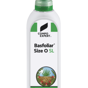 Basfolioar Size O