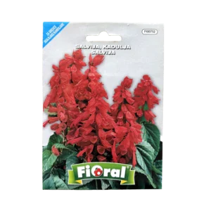 Semenska vrečka Fioral - Salvija, Kadulja
