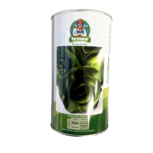 Seme Radič - A Grumolo Verde Scuro 500g