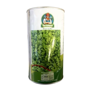 Seme Radič Tržaški Solatnik - Zuccherina Di Trieste 500g